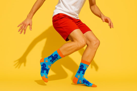 Best Poodle print blue socks funny 2025