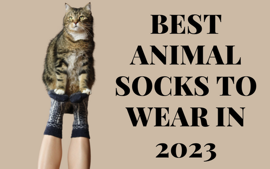 5 BEST ANIMAL SOCKS TO WEAR IN 2024