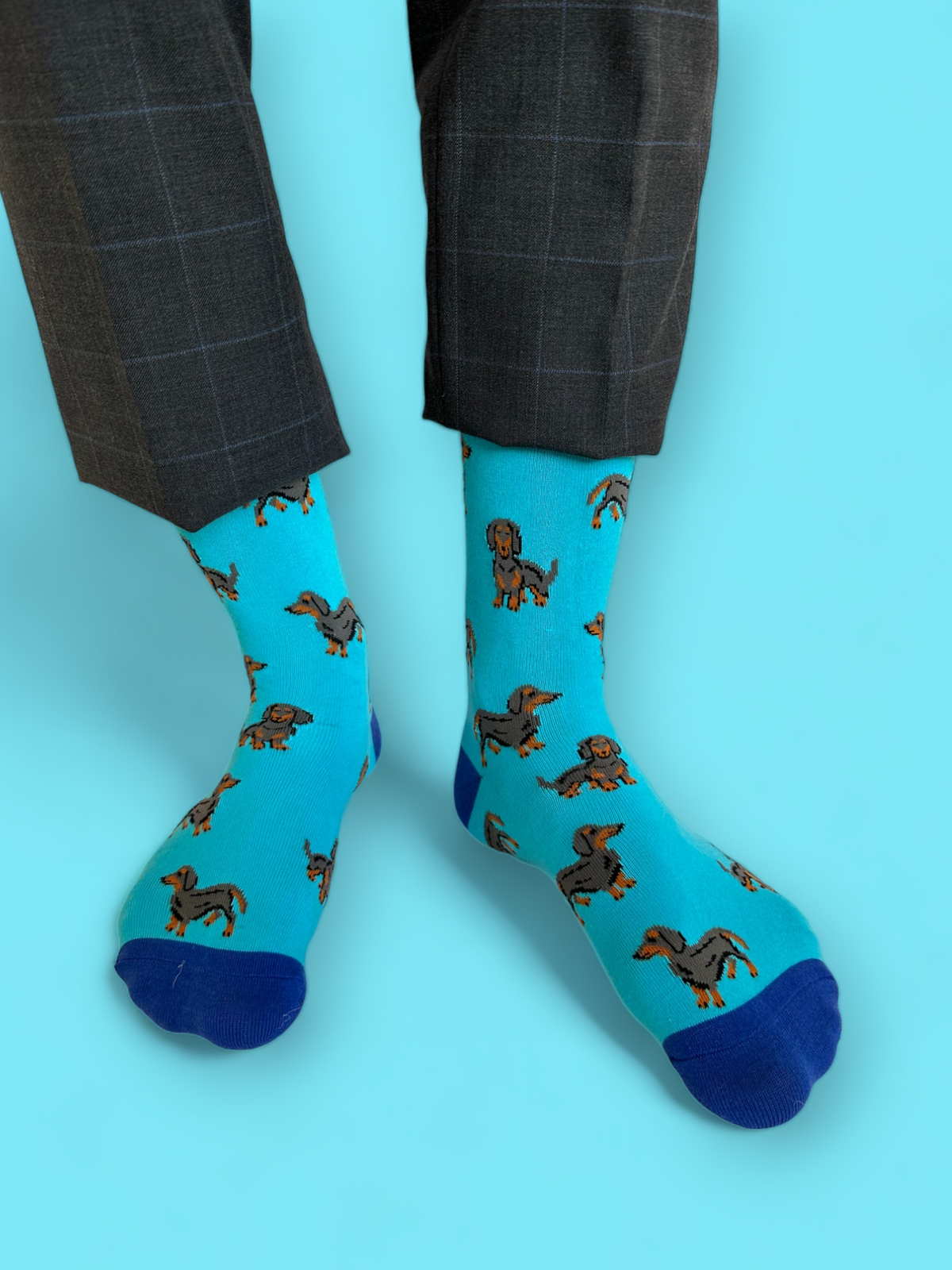 Best Colorful Socks - Dachshund Socks