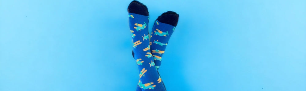 best colorful socks